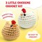 Crochet Kit for Beginners with Step-by-Step Video Tutorials, Starter Crochet Chickens Amigurumi Kit for Teens & Women - Easy DIY Handcraft Knitting Animal Kit - Learn to Crocheting (3 Chickens)